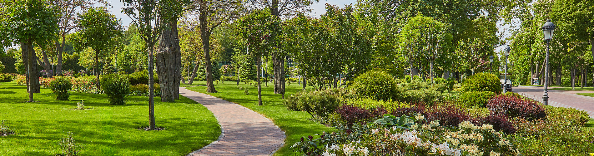 Landscape Architecture